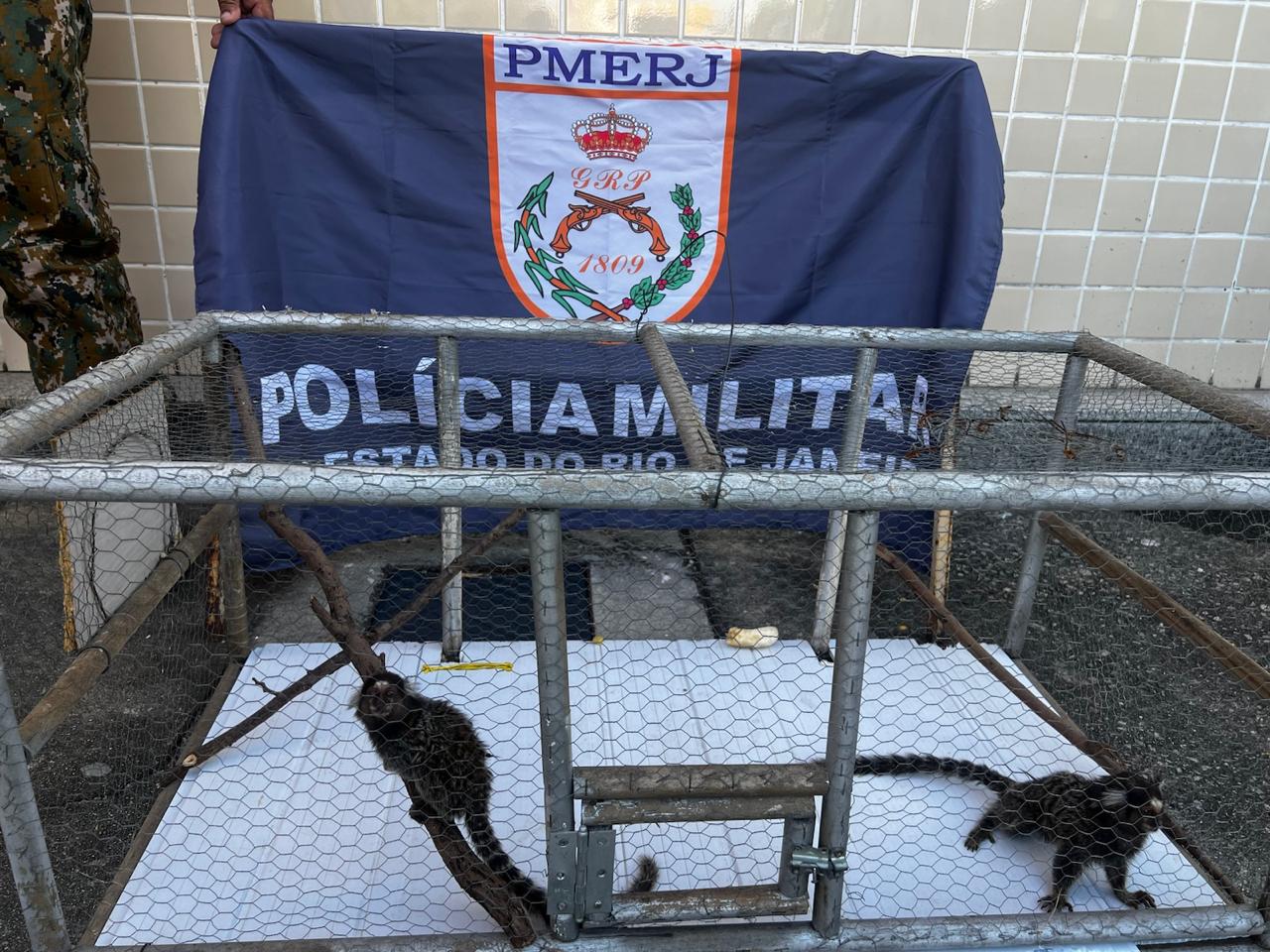 Notícia